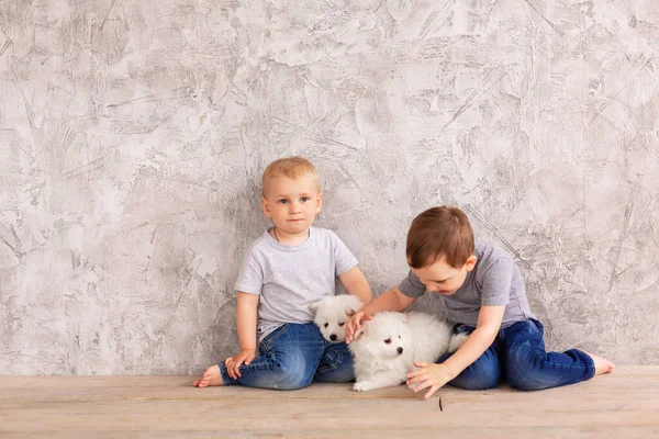 Küçük Beyaz Köpek Yavrularıyla Oynayan Iki Tatlı Erkek Bebek Iyi — Stok fotoğraf