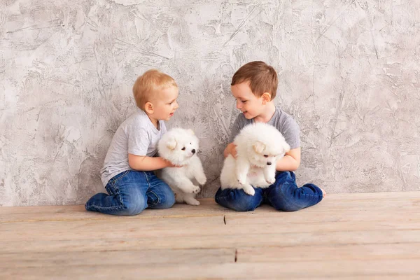 Dos Niñitos Lindos Jugando Con Cachorritos Blancos Primer Mejor Concepto —  Fotos de Stock