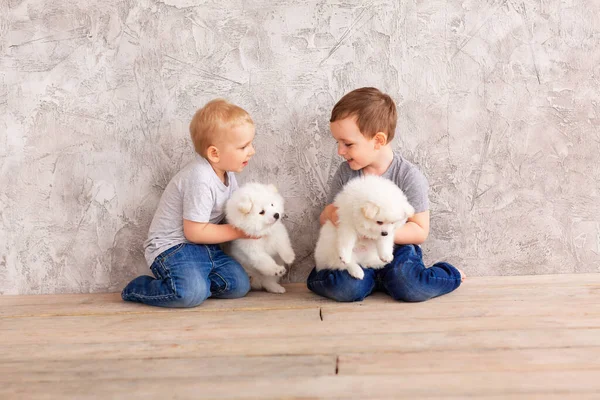 Dois Meninos Bonitos Brincando Com Filhotes Brancos Primeiro Melhor Conceito — Fotografia de Stock