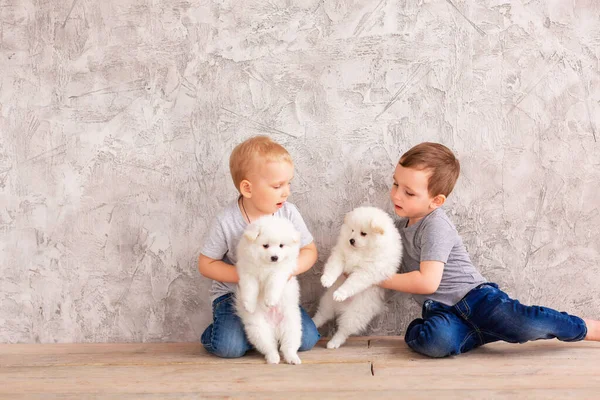 Dois Meninos Bonitos Brincando Com Filhotes Brancos Primeiro Melhor Conceito — Fotografia de Stock