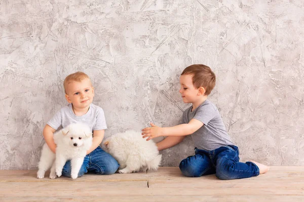 Twee Schattige Kleine Jongetjes Spelen Met Kleine Witte Puppy Eerste — Stockfoto
