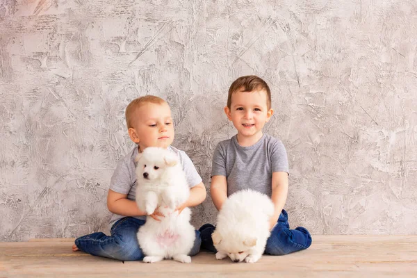 两个可爱的小男孩和小白狗玩耍 第一好宠物朋友的概念 — 图库照片