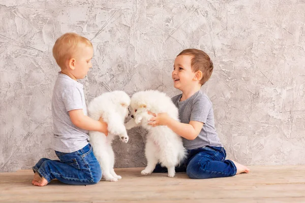 Dois Meninos Bonitos Brincando Com Filhotes Brancos Primeiro Melhor Conceito — Fotografia de Stock