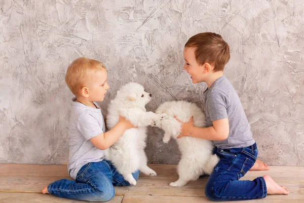 Dva Roztomilí Malí Kluci Hrají Malými Bílými Štěňátky První Nejlepší — Stock fotografie