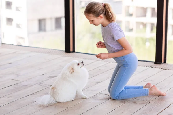 Nettes Teenager Mädchen Trainiert Ihren Spitz Hund Hause Bester Tierfreund — Stockfoto