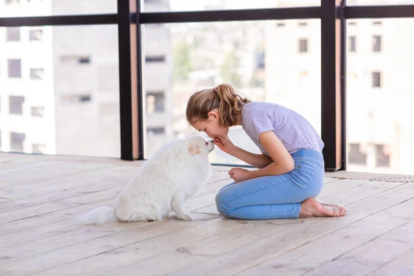 Cute Teenage Girl Training Her Spitz Dog Home Best Pet — Stock Photo, Image
