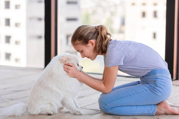 Tükürük Köpeğini Evde Eğiten Tatlı Bir Kız Coronavirus Karantinasında Iyi — Stok fotoğraf