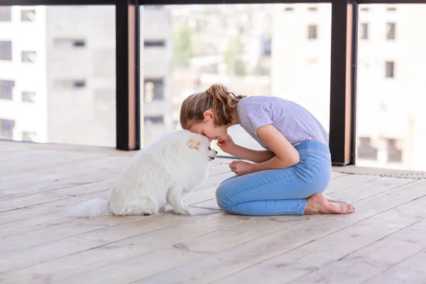 Nettes Teenager Mädchen Trainiert Ihren Spitz Hund Hause Bester Tierfreund — Stockfoto