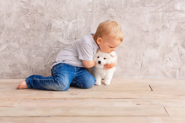 Bonito Menino Brincando Com Filhote Cachorro Branco Primeiro Melhor Conceito — Fotografia de Stock