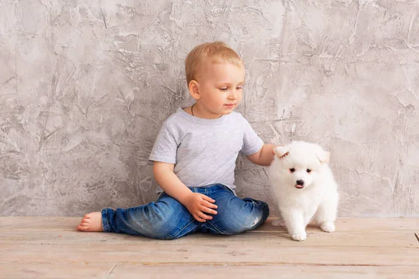 Niedlichen Kleinen Jungen Spielen Mit Kleinen Weißen Welpen Erstes Haustierfreundekonzept — Stockfoto