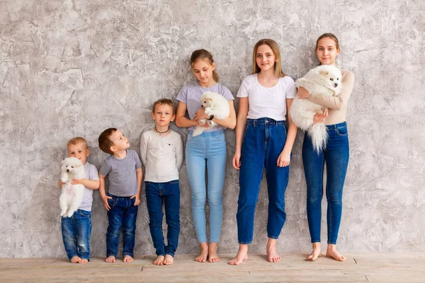 Bambini Felici Età Diversa Con Cuccioli Fila Concetto Lavoro Squadra — Foto Stock