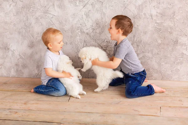 Dos Niñitos Lindos Jugando Con Cachorritos Blancos Primer Mejor Concepto —  Fotos de Stock