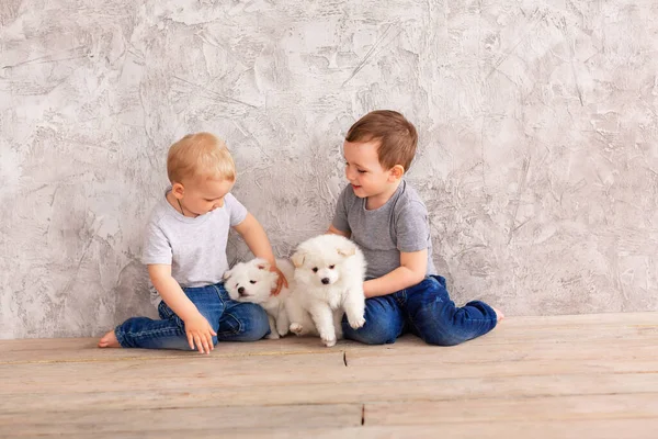 Two Cute Little Baby Boys Playing Little White Puppies First — Stock Photo, Image