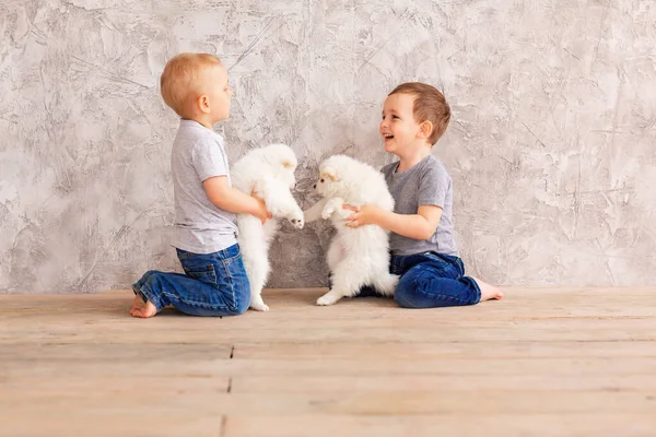 Dois Meninos Bonitos Brincando Com Filhotes Brancos Primeiro Melhor Conceito — Fotografia de Stock