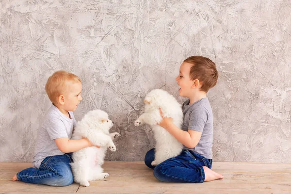 Dos Niñitos Lindos Jugando Con Cachorritos Blancos Primer Mejor Concepto —  Fotos de Stock