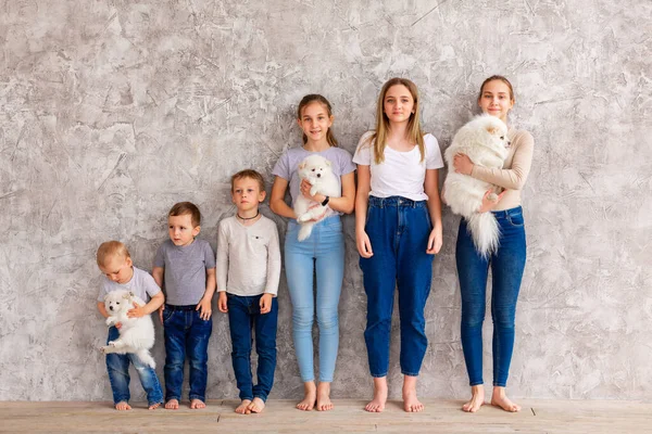 Bambini Felici Età Diversa Con Cuccioli Fila Concetto Lavoro Squadra — Foto Stock