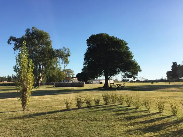 Kırsal ve mavi gökyüzü