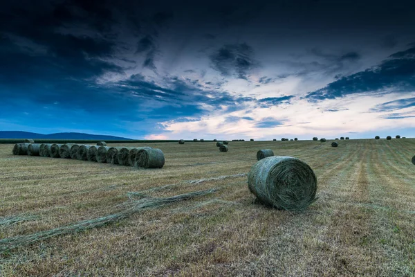 Mezőgazdasági terület szénabálákkal — Stock Fotó