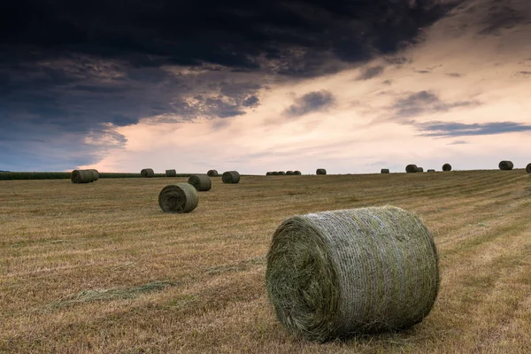 Campo de fazenda com fardos de feno — Fotografia de Stock