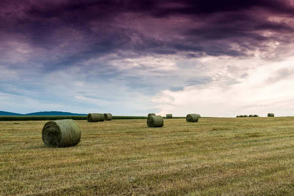 Campo de granja con fardos de heno — Foto de Stock