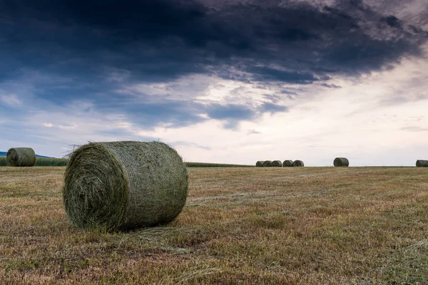 Farm field with hay bales — Stock Photo, Image