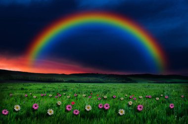 rainbow zemin üzerine çiçek alanı