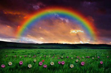 rainbow zemin üzerine çiçek alanı