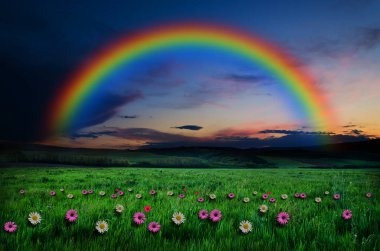 rainbow zemin üzerine çiçek alanı