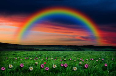 rainbow zemin üzerine çiçek alanı