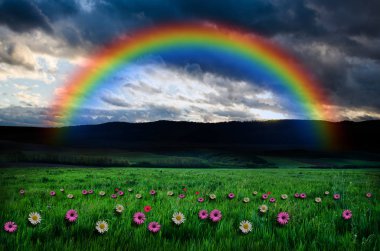 rainbow zemin üzerine çiçek alanı