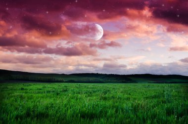 gece gökyüzü üzerinde göster