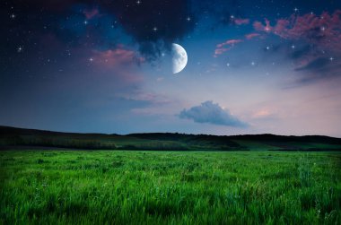 gece gökyüzü üzerinde göster 