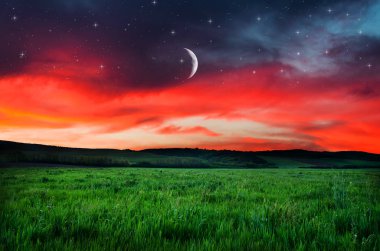 Turuncu gece gökyüzü üzerinde göster