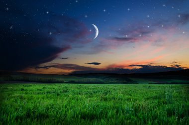 gece gökyüzü üzerinde göster 