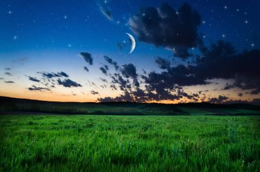 gece gökyüzü üzerinde göster 