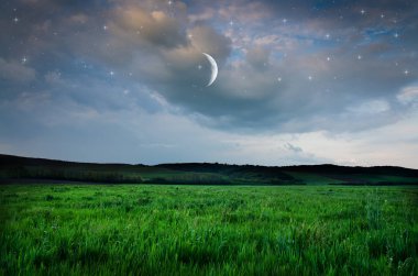 gece gökyüzü üzerinde göster 