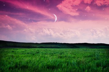 gece gökyüzü üzerinde göster