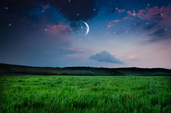 Vista no céu noturno — Fotografia de Stock