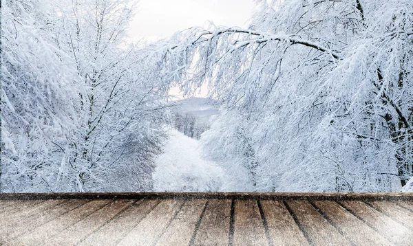 床と冬の森 — ストック写真