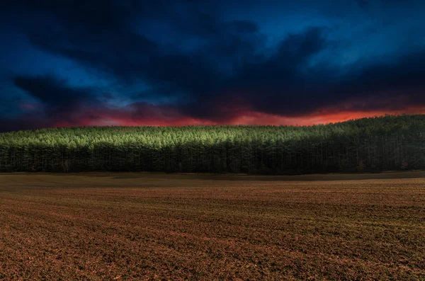 Campo verde sob o céu — Fotografia de Stock