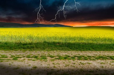 Tecavüz alan Lightning'ler altında