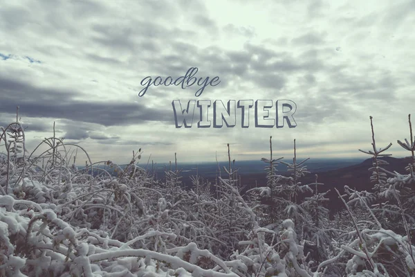 Bosque de invierno con nieve —  Fotos de Stock