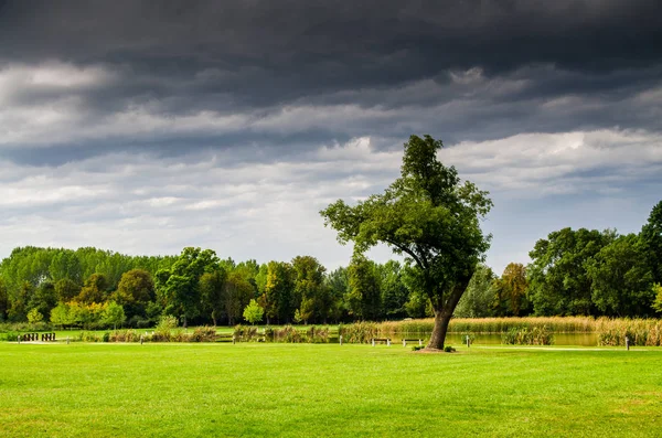 Verse groene veld — Stockfoto