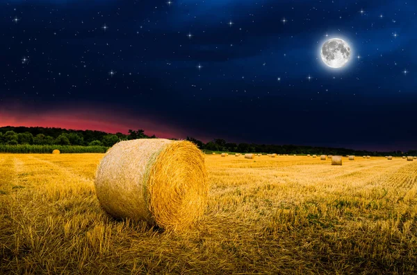 Hay bale on field — Stock Photo, Image