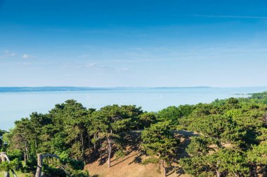 Balaton Gölü ve yeşil ağaçlar