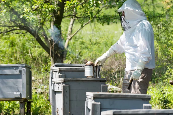 Apiarist roken korf — Stockfoto