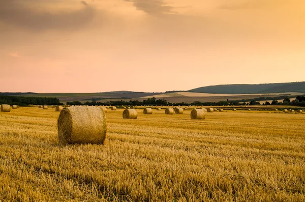 Тюки сена на поле — стоковое фото