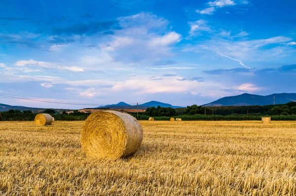 Hay bale on field — Stock Photo, Image