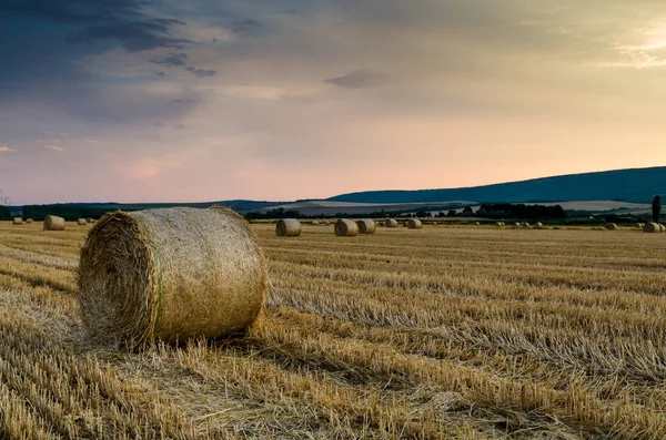 Heno paca en el campo — Foto de Stock