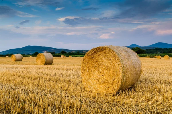 Hay bales on field — Stock Photo, Image